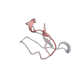 21636_6wdh_F_v1-3
Cryo-EM of elongating ribosome with EF-Tu*GTP elucidates tRNA proofreading (Non-cognate Structure IV-B1)