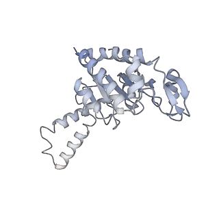 21636_6wdh_G_v1-2
Cryo-EM of elongating ribosome with EF-Tu*GTP elucidates tRNA proofreading (Non-cognate Structure IV-B1)