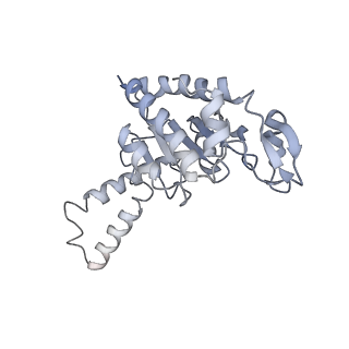 21636_6wdh_G_v1-3
Cryo-EM of elongating ribosome with EF-Tu*GTP elucidates tRNA proofreading (Non-cognate Structure IV-B1)