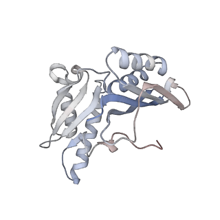 21636_6wdh_H_v1-2
Cryo-EM of elongating ribosome with EF-Tu*GTP elucidates tRNA proofreading (Non-cognate Structure IV-B1)