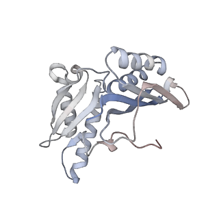 21636_6wdh_H_v1-3
Cryo-EM of elongating ribosome with EF-Tu*GTP elucidates tRNA proofreading (Non-cognate Structure IV-B1)