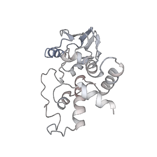 21636_6wdh_I_v1-2
Cryo-EM of elongating ribosome with EF-Tu*GTP elucidates tRNA proofreading (Non-cognate Structure IV-B1)