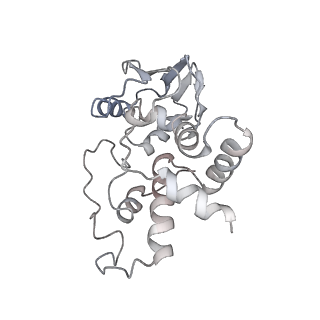 21636_6wdh_I_v1-3
Cryo-EM of elongating ribosome with EF-Tu*GTP elucidates tRNA proofreading (Non-cognate Structure IV-B1)