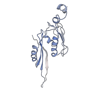 21636_6wdh_J_v1-2
Cryo-EM of elongating ribosome with EF-Tu*GTP elucidates tRNA proofreading (Non-cognate Structure IV-B1)