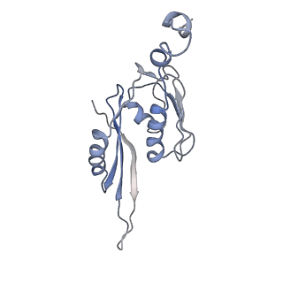 21636_6wdh_J_v1-3
Cryo-EM of elongating ribosome with EF-Tu*GTP elucidates tRNA proofreading (Non-cognate Structure IV-B1)