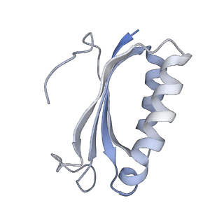 21636_6wdh_K_v1-2
Cryo-EM of elongating ribosome with EF-Tu*GTP elucidates tRNA proofreading (Non-cognate Structure IV-B1)