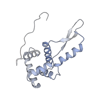 21636_6wdh_L_v1-3
Cryo-EM of elongating ribosome with EF-Tu*GTP elucidates tRNA proofreading (Non-cognate Structure IV-B1)