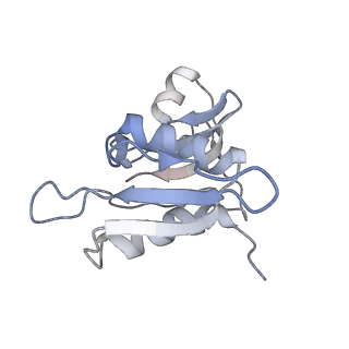 21636_6wdh_M_v1-2
Cryo-EM of elongating ribosome with EF-Tu*GTP elucidates tRNA proofreading (Non-cognate Structure IV-B1)