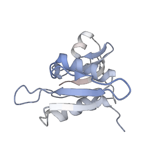 21636_6wdh_M_v1-3
Cryo-EM of elongating ribosome with EF-Tu*GTP elucidates tRNA proofreading (Non-cognate Structure IV-B1)