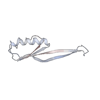 21636_6wdh_O_v1-3
Cryo-EM of elongating ribosome with EF-Tu*GTP elucidates tRNA proofreading (Non-cognate Structure IV-B1)