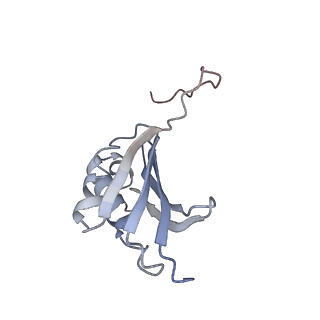 21636_6wdh_P_v1-2
Cryo-EM of elongating ribosome with EF-Tu*GTP elucidates tRNA proofreading (Non-cognate Structure IV-B1)