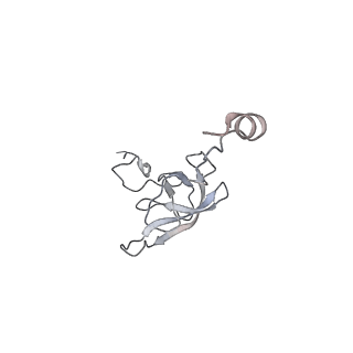 21636_6wdh_Q_v1-2
Cryo-EM of elongating ribosome with EF-Tu*GTP elucidates tRNA proofreading (Non-cognate Structure IV-B1)