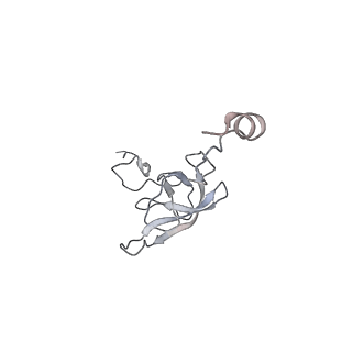 21636_6wdh_Q_v1-3
Cryo-EM of elongating ribosome with EF-Tu*GTP elucidates tRNA proofreading (Non-cognate Structure IV-B1)