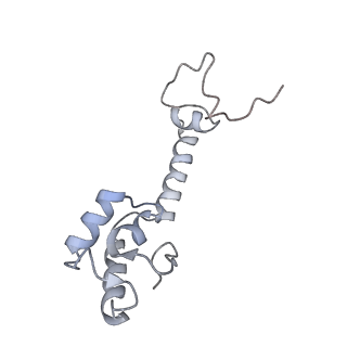 21636_6wdh_R_v1-2
Cryo-EM of elongating ribosome with EF-Tu*GTP elucidates tRNA proofreading (Non-cognate Structure IV-B1)