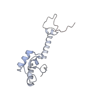 21636_6wdh_R_v1-3
Cryo-EM of elongating ribosome with EF-Tu*GTP elucidates tRNA proofreading (Non-cognate Structure IV-B1)