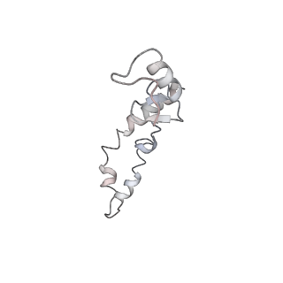 21636_6wdh_S_v1-2
Cryo-EM of elongating ribosome with EF-Tu*GTP elucidates tRNA proofreading (Non-cognate Structure IV-B1)