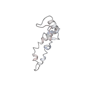 21636_6wdh_S_v1-3
Cryo-EM of elongating ribosome with EF-Tu*GTP elucidates tRNA proofreading (Non-cognate Structure IV-B1)