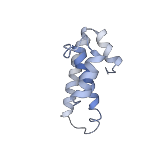21636_6wdh_T_v1-2
Cryo-EM of elongating ribosome with EF-Tu*GTP elucidates tRNA proofreading (Non-cognate Structure IV-B1)