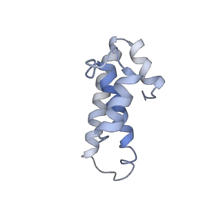 21636_6wdh_T_v1-3
Cryo-EM of elongating ribosome with EF-Tu*GTP elucidates tRNA proofreading (Non-cognate Structure IV-B1)