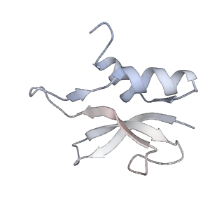 21636_6wdh_U_v1-2
Cryo-EM of elongating ribosome with EF-Tu*GTP elucidates tRNA proofreading (Non-cognate Structure IV-B1)