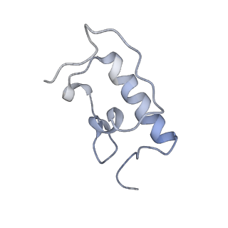 21636_6wdh_W_v1-2
Cryo-EM of elongating ribosome with EF-Tu*GTP elucidates tRNA proofreading (Non-cognate Structure IV-B1)