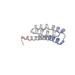 21636_6wdh_Y_v1-3
Cryo-EM of elongating ribosome with EF-Tu*GTP elucidates tRNA proofreading (Non-cognate Structure IV-B1)