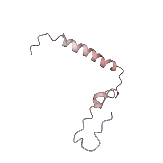 21636_6wdh_Z_v1-2
Cryo-EM of elongating ribosome with EF-Tu*GTP elucidates tRNA proofreading (Non-cognate Structure IV-B1)