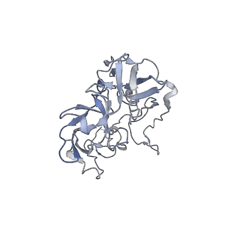 21636_6wdh_b_v1-3
Cryo-EM of elongating ribosome with EF-Tu*GTP elucidates tRNA proofreading (Non-cognate Structure IV-B1)