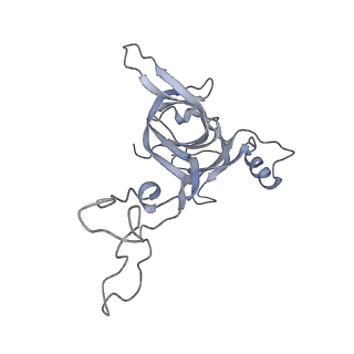 21636_6wdh_c_v1-2
Cryo-EM of elongating ribosome with EF-Tu*GTP elucidates tRNA proofreading (Non-cognate Structure IV-B1)