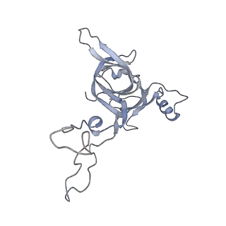 21636_6wdh_c_v1-3
Cryo-EM of elongating ribosome with EF-Tu*GTP elucidates tRNA proofreading (Non-cognate Structure IV-B1)