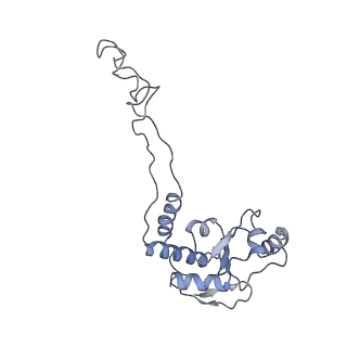 21636_6wdh_d_v1-2
Cryo-EM of elongating ribosome with EF-Tu*GTP elucidates tRNA proofreading (Non-cognate Structure IV-B1)