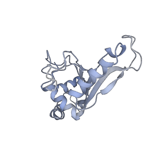 21636_6wdh_e_v1-2
Cryo-EM of elongating ribosome with EF-Tu*GTP elucidates tRNA proofreading (Non-cognate Structure IV-B1)
