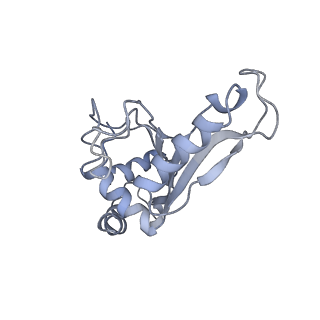 21636_6wdh_e_v1-3
Cryo-EM of elongating ribosome with EF-Tu*GTP elucidates tRNA proofreading (Non-cognate Structure IV-B1)