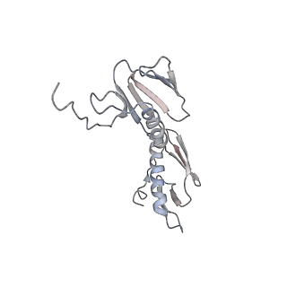 21636_6wdh_f_v1-2
Cryo-EM of elongating ribosome with EF-Tu*GTP elucidates tRNA proofreading (Non-cognate Structure IV-B1)