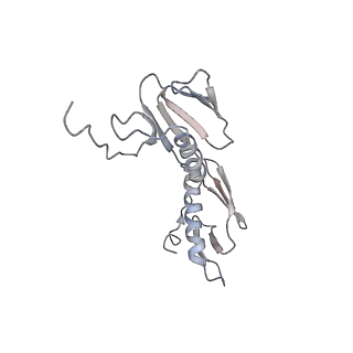 21636_6wdh_f_v1-3
Cryo-EM of elongating ribosome with EF-Tu*GTP elucidates tRNA proofreading (Non-cognate Structure IV-B1)