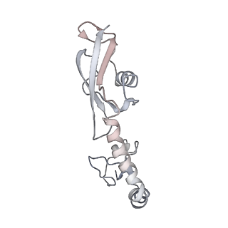 21636_6wdh_g_v1-2
Cryo-EM of elongating ribosome with EF-Tu*GTP elucidates tRNA proofreading (Non-cognate Structure IV-B1)