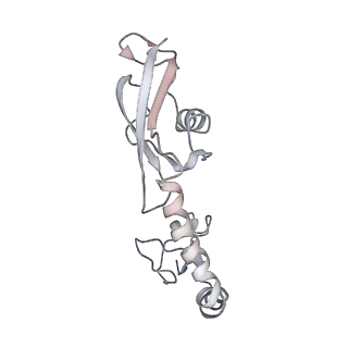 21636_6wdh_g_v1-3
Cryo-EM of elongating ribosome with EF-Tu*GTP elucidates tRNA proofreading (Non-cognate Structure IV-B1)