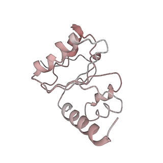 21636_6wdh_h_v1-2
Cryo-EM of elongating ribosome with EF-Tu*GTP elucidates tRNA proofreading (Non-cognate Structure IV-B1)