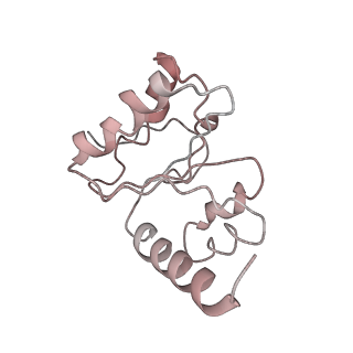 21636_6wdh_h_v1-3
Cryo-EM of elongating ribosome with EF-Tu*GTP elucidates tRNA proofreading (Non-cognate Structure IV-B1)