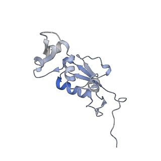 21636_6wdh_j_v1-2
Cryo-EM of elongating ribosome with EF-Tu*GTP elucidates tRNA proofreading (Non-cognate Structure IV-B1)