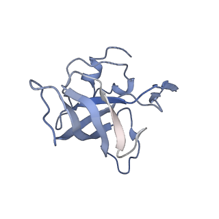 21636_6wdh_k_v1-2
Cryo-EM of elongating ribosome with EF-Tu*GTP elucidates tRNA proofreading (Non-cognate Structure IV-B1)