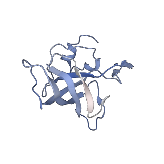 21636_6wdh_k_v1-3
Cryo-EM of elongating ribosome with EF-Tu*GTP elucidates tRNA proofreading (Non-cognate Structure IV-B1)