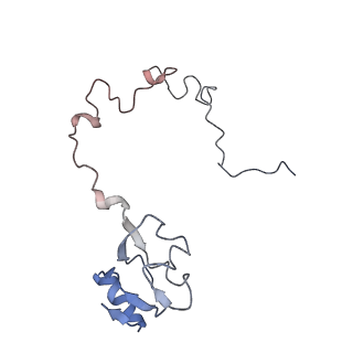 21636_6wdh_l_v1-2
Cryo-EM of elongating ribosome with EF-Tu*GTP elucidates tRNA proofreading (Non-cognate Structure IV-B1)