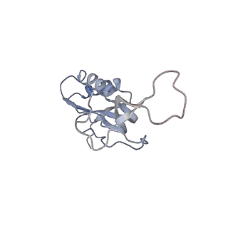 21636_6wdh_m_v1-2
Cryo-EM of elongating ribosome with EF-Tu*GTP elucidates tRNA proofreading (Non-cognate Structure IV-B1)