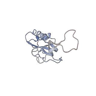 21636_6wdh_m_v1-3
Cryo-EM of elongating ribosome with EF-Tu*GTP elucidates tRNA proofreading (Non-cognate Structure IV-B1)