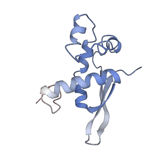 21636_6wdh_n_v1-2
Cryo-EM of elongating ribosome with EF-Tu*GTP elucidates tRNA proofreading (Non-cognate Structure IV-B1)