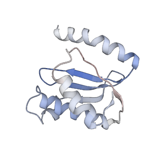 21636_6wdh_o_v1-2
Cryo-EM of elongating ribosome with EF-Tu*GTP elucidates tRNA proofreading (Non-cognate Structure IV-B1)