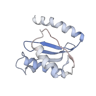 21636_6wdh_o_v1-3
Cryo-EM of elongating ribosome with EF-Tu*GTP elucidates tRNA proofreading (Non-cognate Structure IV-B1)