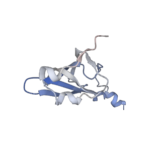 21636_6wdh_p_v1-2
Cryo-EM of elongating ribosome with EF-Tu*GTP elucidates tRNA proofreading (Non-cognate Structure IV-B1)