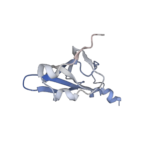 21636_6wdh_p_v1-3
Cryo-EM of elongating ribosome with EF-Tu*GTP elucidates tRNA proofreading (Non-cognate Structure IV-B1)